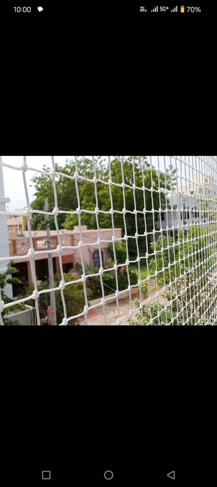 Bird net installation service